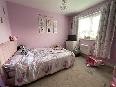 Picture 12
